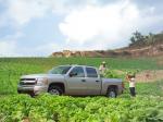 Chevrolet Silverado Crew Cab 2007 года